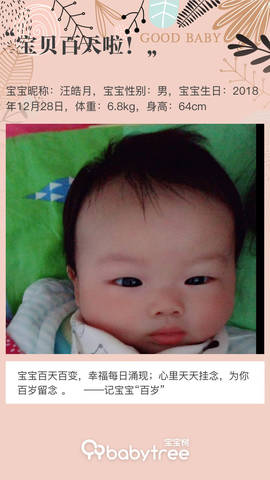 journal_insert_pic_1208782621