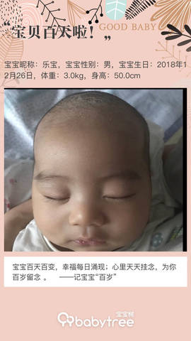 journal_insert_pic_1208801274