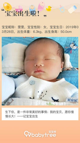 journal_insert_pic_1209586523