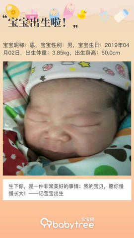 journal_insert_pic_1209645262