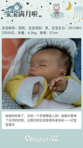 journal_insert_pic_1209429091