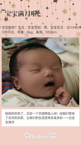 journal_insert_pic_1209934914