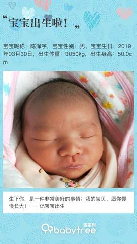 journal_insert_pic_1210532744