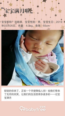 journal_insert_pic_1210408477