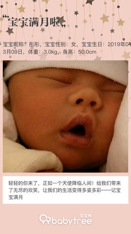 journal_insert_pic_1211064888