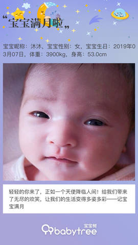 journal_insert_pic_1211445454