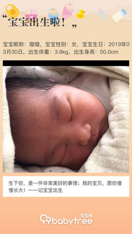 journal_insert_pic_1210980311