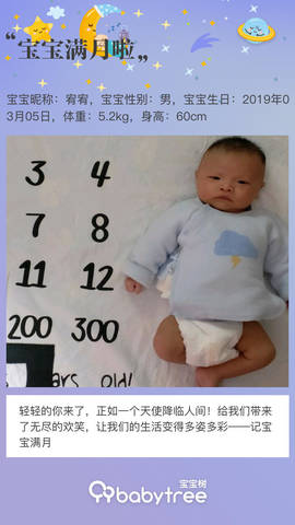 journal_insert_pic_1211044433