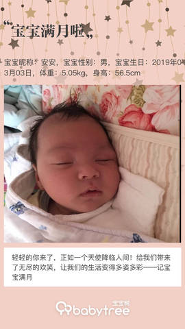 journal_insert_pic_1211426112