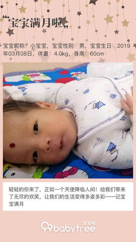 journal_insert_pic_1211748903