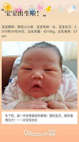 journal_insert_pic_1211724311