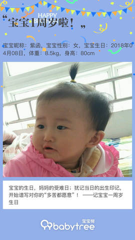 journal_insert_pic_1212678020