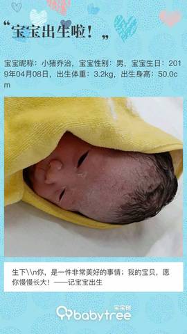 journal_insert_pic_1212403625