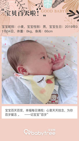 journal_insert_pic_1212587406