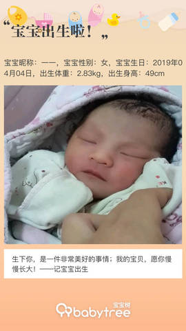 journal_insert_pic_1212486522