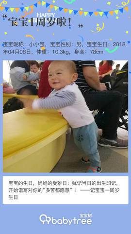 journal_insert_pic_1212656146