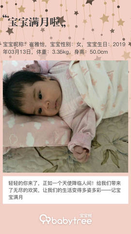 journal_insert_pic_1213138670