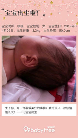 journal_insert_pic_1213858063