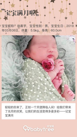 journal_insert_pic_1213803362