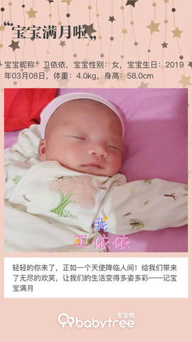 journal_insert_pic_1213737624