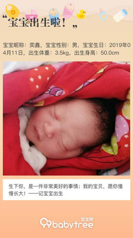 journal_insert_pic_1214599307