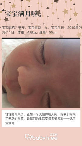 journal_insert_pic_1215178896