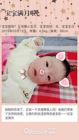 journal_insert_pic_1215107435