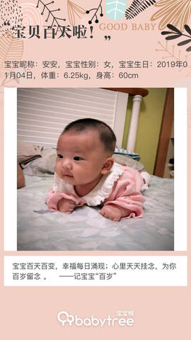 journal_insert_pic_1215846647