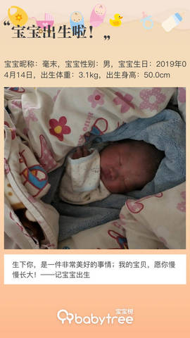 journal_insert_pic_1216405684