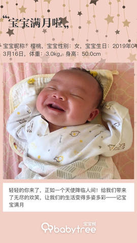 journal_insert_pic_1216845214