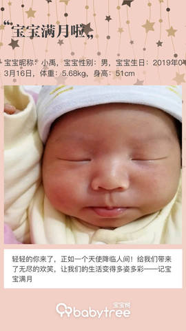 journal_insert_pic_1218682179