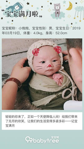 journal_insert_pic_1218267823