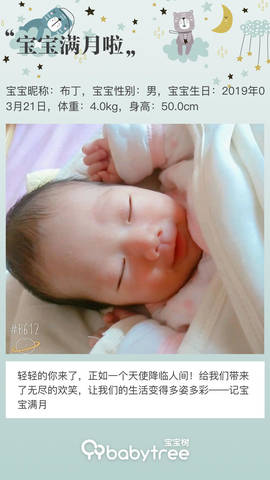 journal_insert_pic_1218869262
