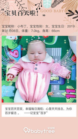 journal_insert_pic_1218797734