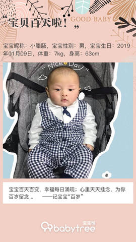 journal_insert_pic_1219482607