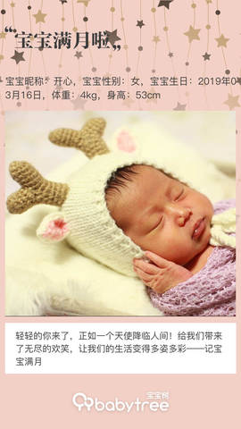 journal_insert_pic_1219450479