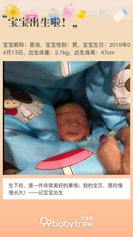 journal_insert_pic_1219383303