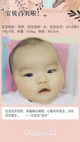 journal_insert_pic_1219395642