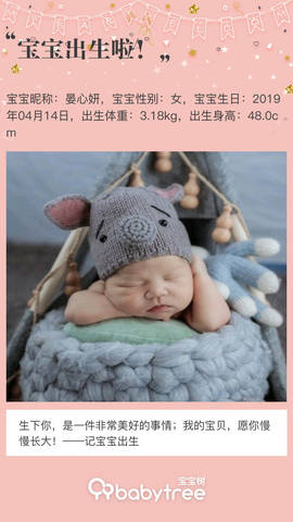 journal_insert_pic_1220288928