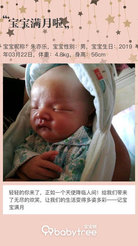 journal_insert_pic_1221240564