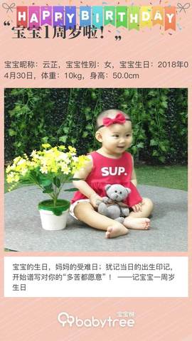 journal_insert_pic_1222576628