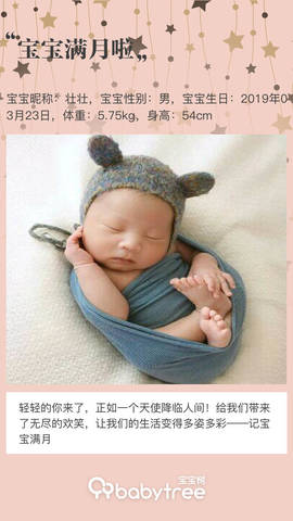 journal_insert_pic_1222909965