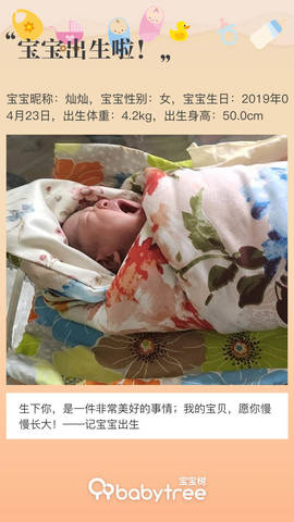 journal_insert_pic_1222440859