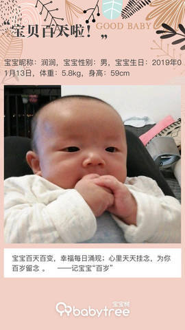 journal_insert_pic_1222441238