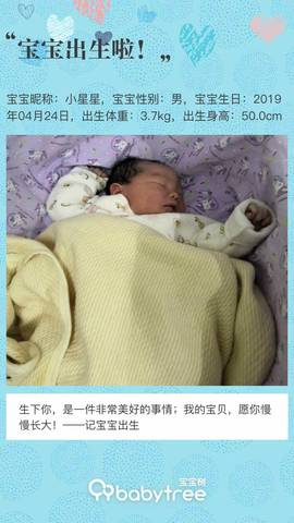 journal_insert_pic_1223024814