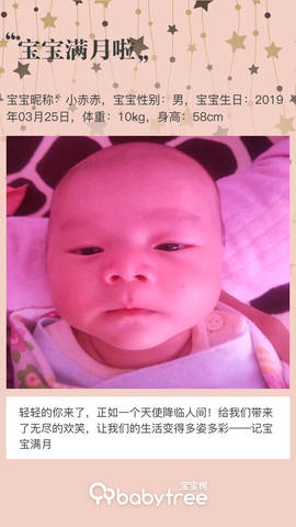journal_insert_pic_1224094191