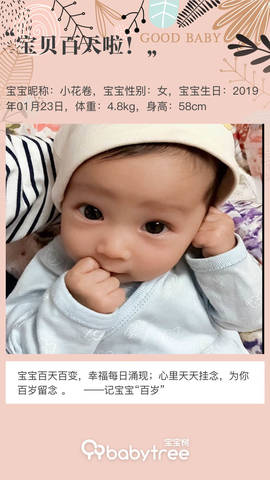 journal_insert_pic_1224834779