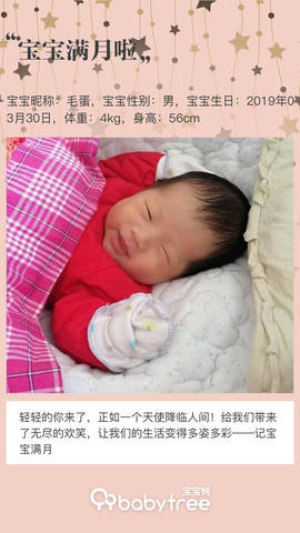 journal_insert_pic_1224347676