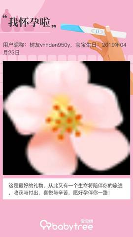 journal_insert_pic_1224819500