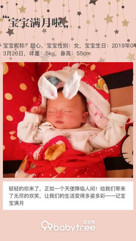 journal_insert_pic_1225348244